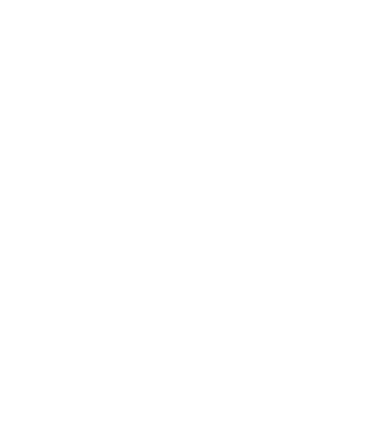 Ceasuri de dama TIMEX